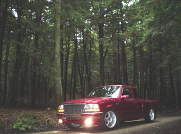 Truck in the trees